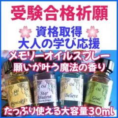 たっぷり30ml水晶入り【受験必勝 合格祈願】開運へメモリーオイル スプレー 2026年最新】目標達成祈願の人気アイテム - メルカリ