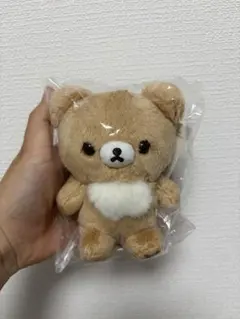 チャイロイコグマ　5Colors　ぬいぐるみ　10周年　新品未開封