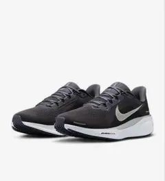 ナイキ ペガサス 41 