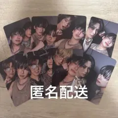 &TEAM YUMA ユニット8枚セット