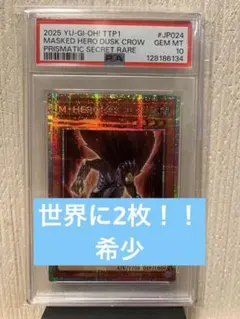 最終値下 最安値 スカーレッド・ノヴァ・ドラゴン 絵違い プリシク