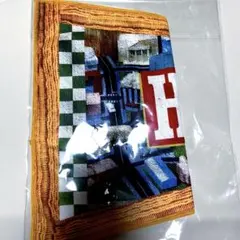 HONEST TOWN プレミアムカプセル レア ペナントタオルNAOTO