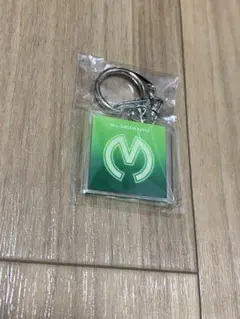 Mr. GREEN APPLE キーホルダー