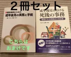 成年後見における死後の事務 : 事例にみる問題点と対応策