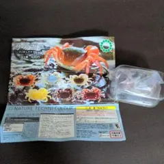 var.様 リクエスト 3点 まとめ商品