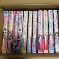 ライトノベル★小説まとめ売り★11冊