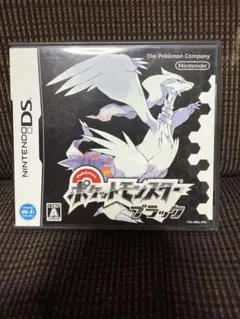 ポケットモンスター ブラック DS