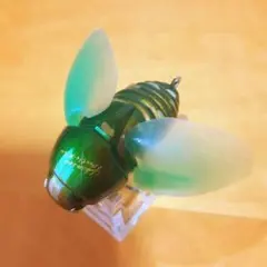 【美品】‼️メガバス ビートル-X ‼️のサムネイル