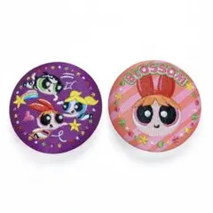 パワーパフガールズ パワパフ 刺繍缶バッジ ブロッサム 集合 2個セット