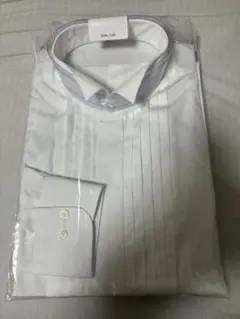 Item thumbnail for item 9c613932-8d98-41a1-be30-8a4869adb9df