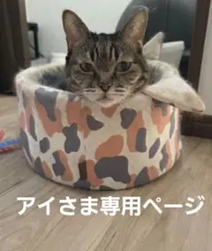 アイさま専用ページ
