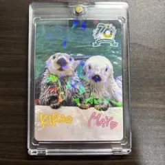 2026年最新】鳥羽水族館 70周年の人気アイテム - メルカリ