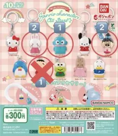 サンリオキャラクターズ めじるしアクセサリー