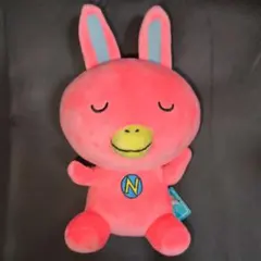 NOVAうさぎ ぬいぐるみ　約27cm　いっぱいきけていっぱいしゃべれる♪