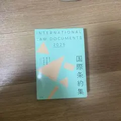 国際条約集 2025年版
