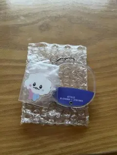 treasure TRUZ シャカシャカアクリルチャーム SOM