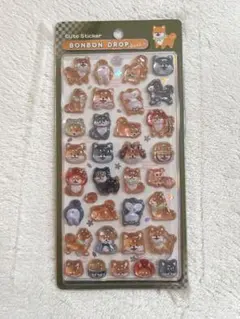 新品未開封　ボンボンドロップシール 和柄　柴犬　クーリア 正規品