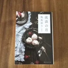 流浪の月