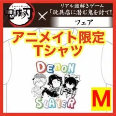 ☆1138 鬼滅の刃 アニメイト限定 謎解き Tシャツ ホワイト Mサイズ
