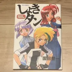 SFC「スーパーヅガン」販促用A4サイズチラシ（非売品・新品