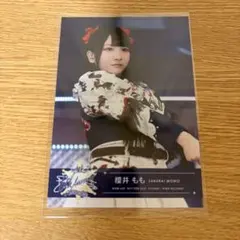 Item thumbnail for item 577c214c-9128-48ca-a9d1-66fddfc28fec