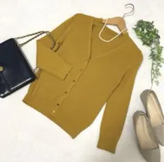 アプワイザーリッシェ　アンサンブル　ニット　カーディガン　マスタード
