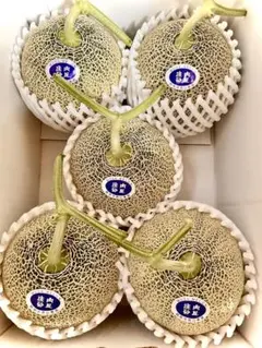 庄内砂丘特産　アンデスメロン　2L5個　贈答用のサムネイル