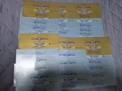 ゼビオ　株主優待券　 20%OFF券6枚 10%OFF券24枚　最新