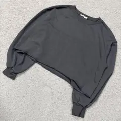 ウィゴー スタンダード クロップド スウェット ストリート シンプル 大人感 S