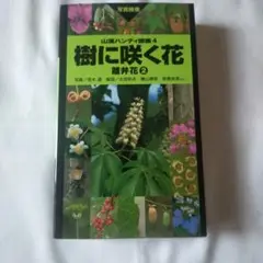 樹に咲く花 離弁花 2