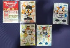 プロ野球チップス2025第1弾　フルコンプリートまで30枚足らず。