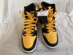 27.5cm　Nike Dunk High ”University Gold