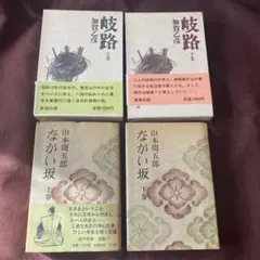 Item thumbnail for item c1cce392-7df9-4c29-9c91-28f7e382882d