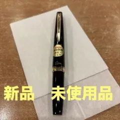 2026年最新】万年筆 パイロット エリートの人気アイテム - メルカリ