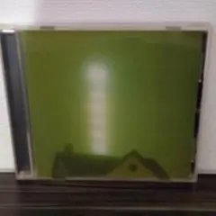 Don Caballero What Burns Never Returns