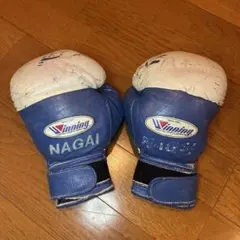 Item thumbnail for item 986dea02-6331-4f8d-bf52-4922edb3c9a9