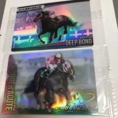 Thoroughbred Horse Collection 2枚セット
