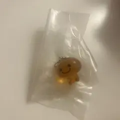 サンエックスユニバース　みかんぼうや めじるしアクセサリー　チャーム