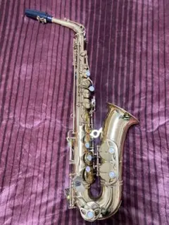 2025年最新】PREMONADO サックスの人気アイテム - メルカリ