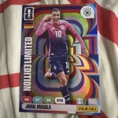 Item thumbnail for item 866195c4-4e6c-467e-b49f-2cc0ac48cde9