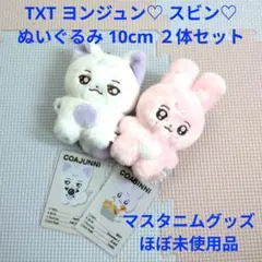 TXT ヨンジュン♡ スビン♡ 10cmドール ぬいぐるみ マスター 2体セット