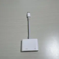 美品　Apple純正品　変換アダプター