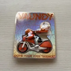 VAUNDY ドームツアー2026 キーホルダー - メルカリ