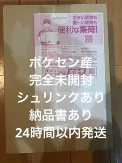 外箱未開封 ポケセン産 ストームエメラルダ シュリンク付き納品書付き