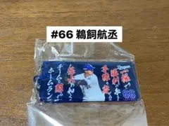 中日ドラゴンズ 鵜飼航丞 66 選手応援歌 アクリルキーホルダー