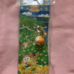 ご当地　どこでもドラえもん　ボールペン　シャーペン　根付け　まとめ売り　地域限定 ご当地 どこでもドラえもん ボールペン シャーペン 根付け