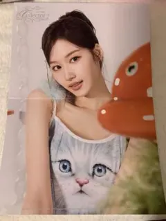TWICE サナ　ポスター
