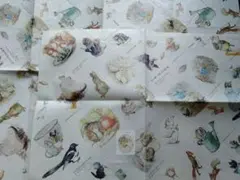 Item thumbnail for item 18b58477-e090-498b-9248-fea84a7dd972