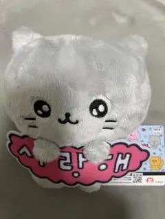 チェゴシム　メッセージ付きぬいぐるみ　ねこ