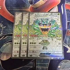 ポケカ　オーガポンみどりのめんex SR 3枚